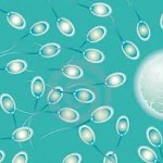 Khasiat di Balik Cairan Sperma